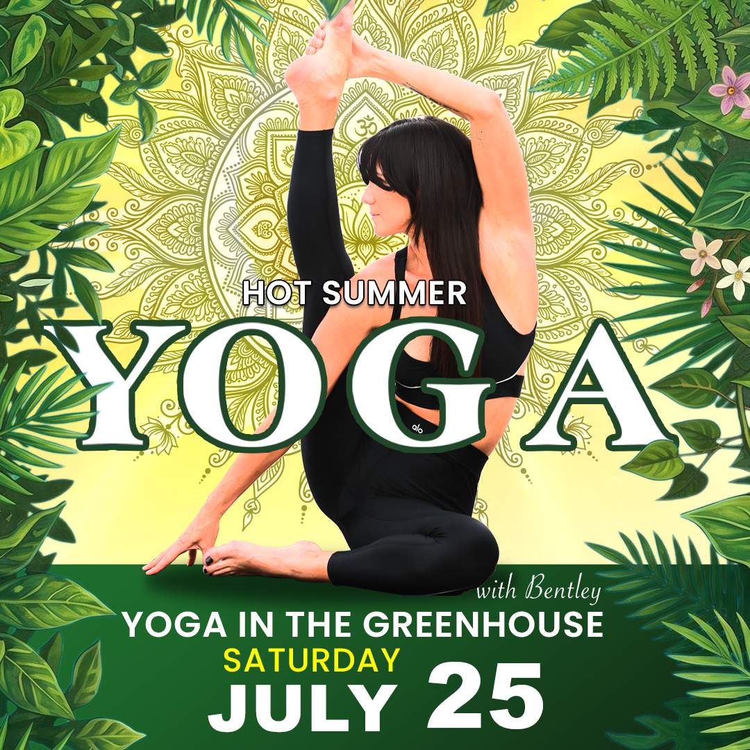 Hot Summer Yoga In The Green House July 25